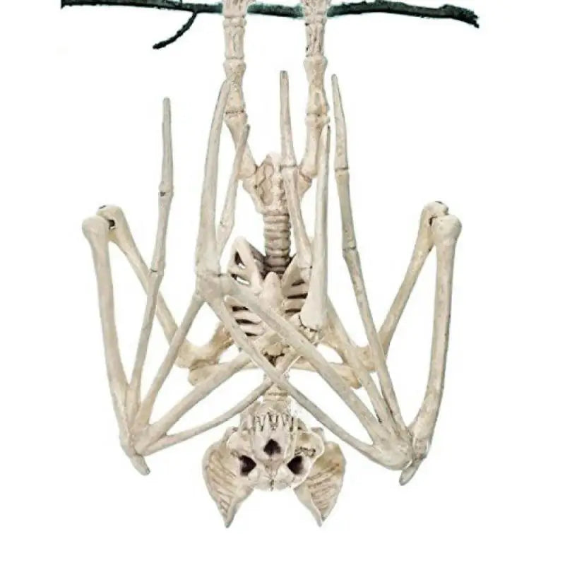 Morcego Esqueleto de Animal de Halloween Modelo de Simulação de Esqueleto de Osso