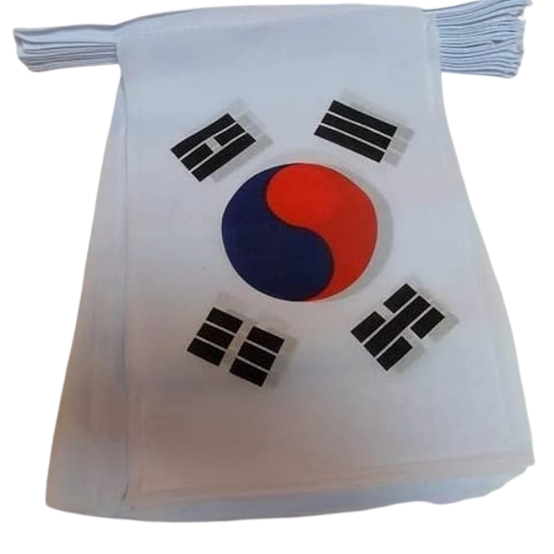 Bandeirinhas Copa do Mundo Coreia do Sul 6 metros Bandeira 20 bandeiras 9'' x 6''