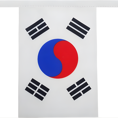 Bandeirinhas Copa do Mundo Coreia do Sul 6 metros Bandeira 20 bandeiras 9'' x 6''