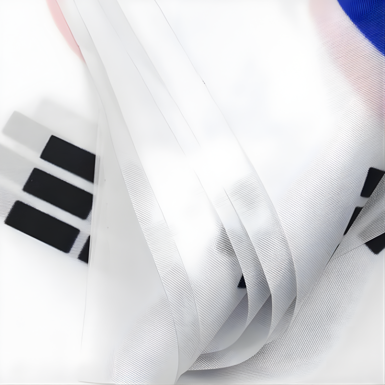 Bandeirinhas Copa do Mundo Coreia do Sul 6 metros Bandeira 20 bandeiras 9'' x 6''