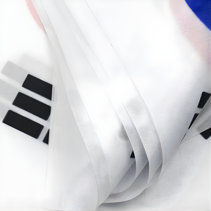 Bandeirinhas Copa do Mundo Coreia do Sul 6 metros Bandeira 20 bandeiras 9'' x 6''