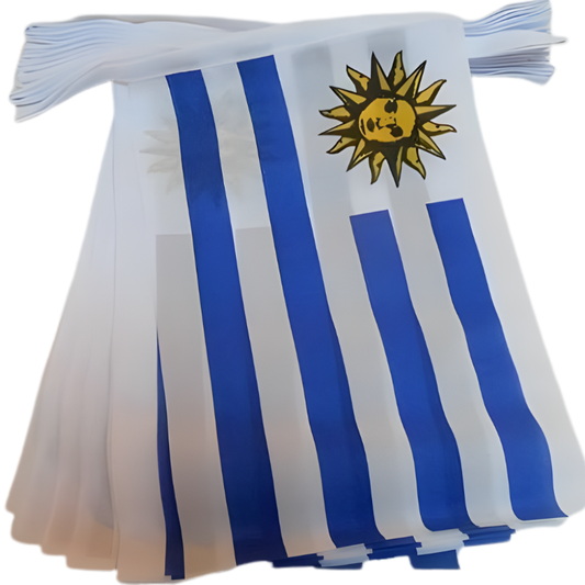 Bandeirinha Copa do Mundo 20 pés 20 bandeiras bandeira das Américas do Norte e do Sul