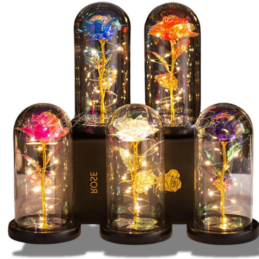 Linda flor rosa preservada luz led  tampa de vidro base madeira dia dos namorados