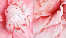 Carregar imagem no visualizador da galeria, Flor artificial gigante de 80 cm Rosa
