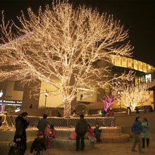 Carregar imagem no visualizador da galeria, Cordão Led Natal Leds Prova D&#39;água
