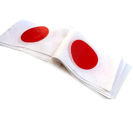 Bandeirinhas Copa do Mundo japonesa japonesa, 5,9 m 50 mini bandeiras, 14x21 cm, corda