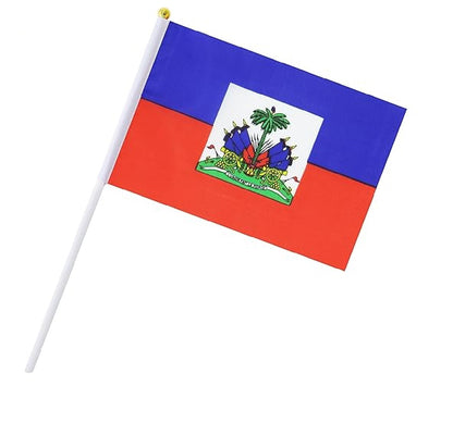 Copa do Mundo Pacote com 20 mini bandeiras do Haiti pequenas de mão, bastão haitiano