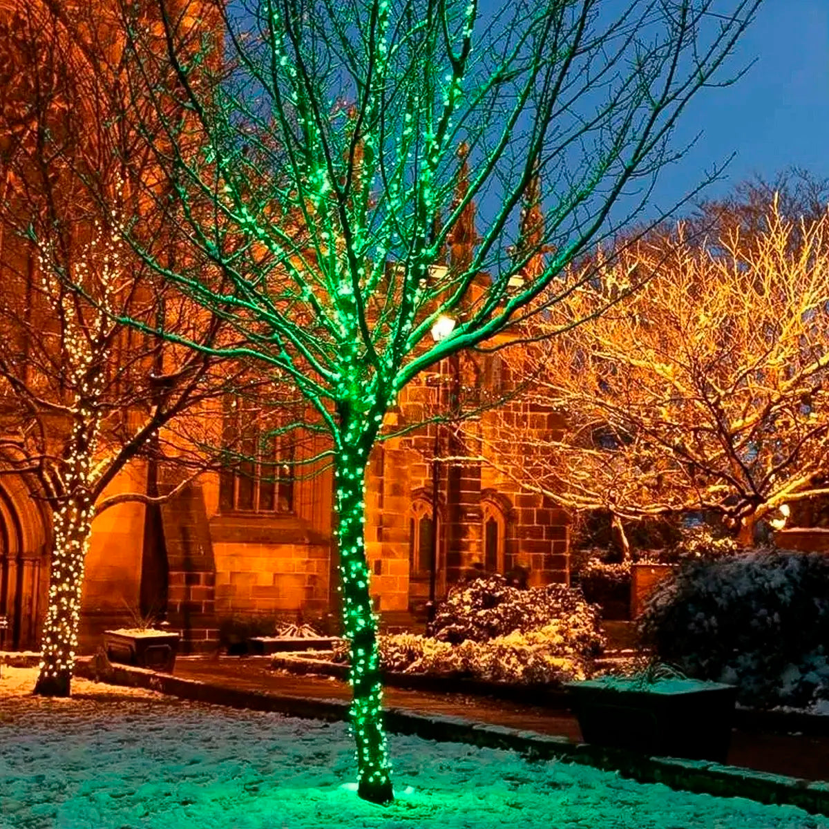 Pisca Cordão Varal Natal (Verde) e Pisca Cordão de Luz Fio Luzes Led Verde10 Metros 220v