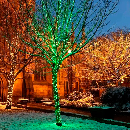 Pisca Cordão Varal Natal (Verde) e Pisca Cordão de Luz Fio Luzes Led Verde10 Metros 220v