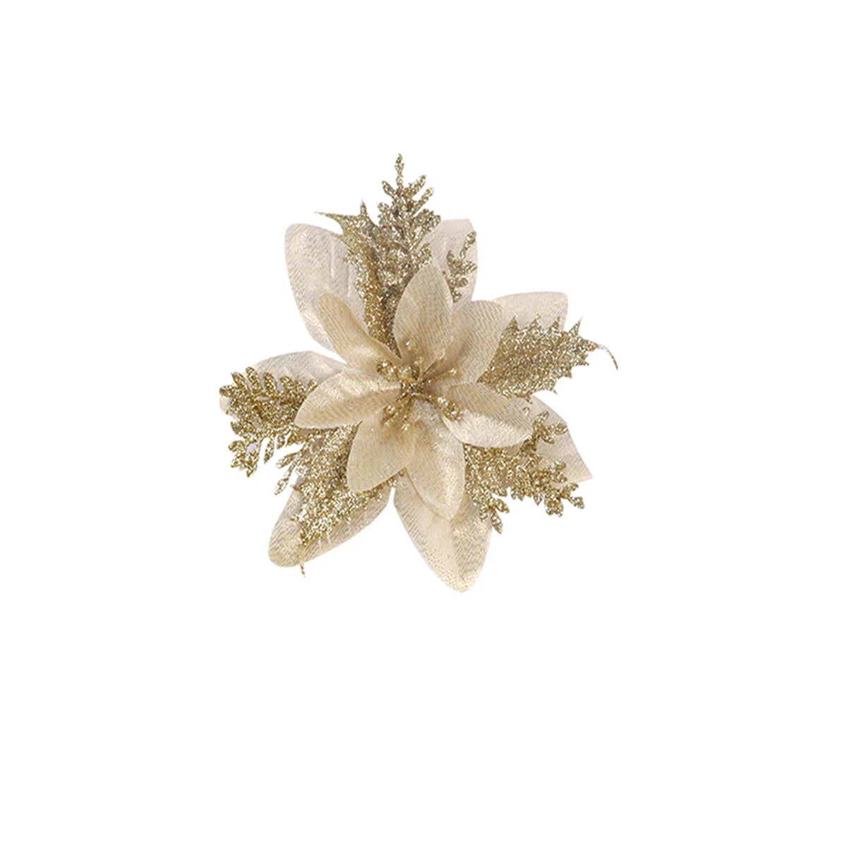 45658322075800|45658322108568