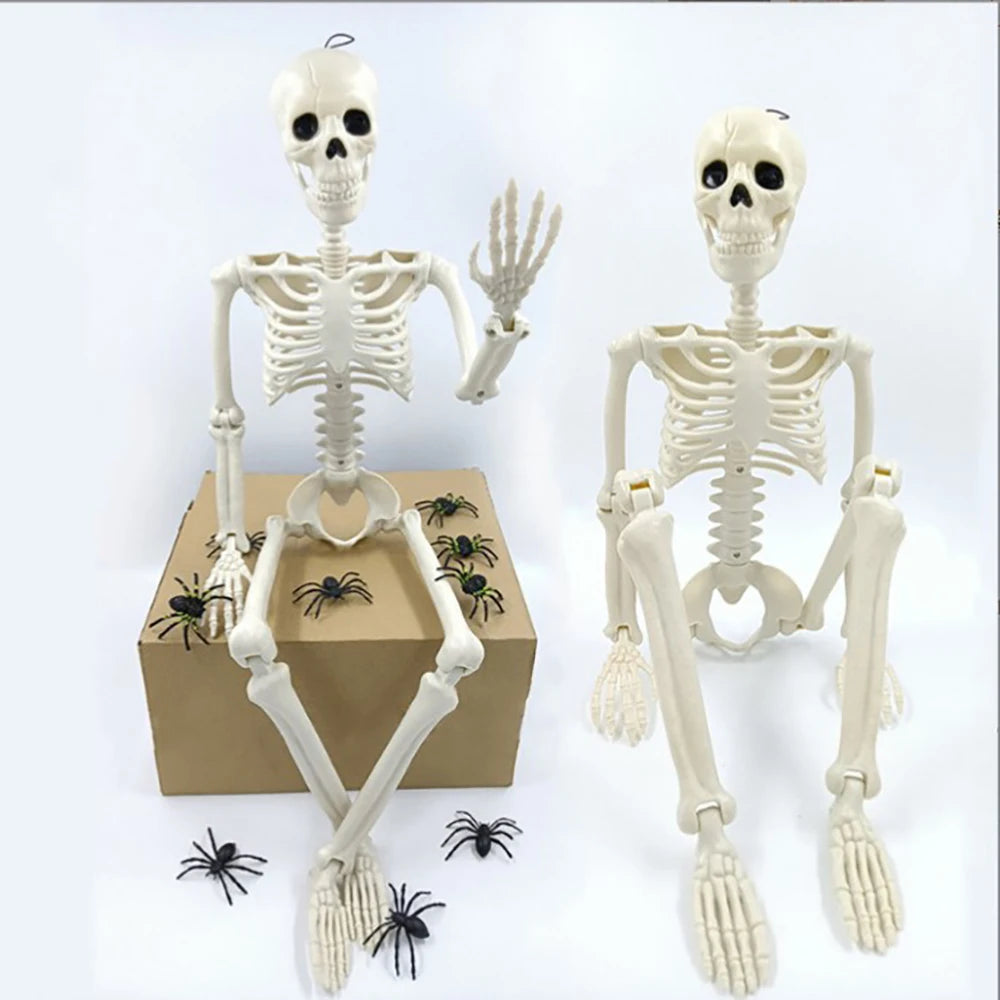 Modelo de Halloween anatomia do esqueleto - Esqueleto Humano Potável Tamanho Real