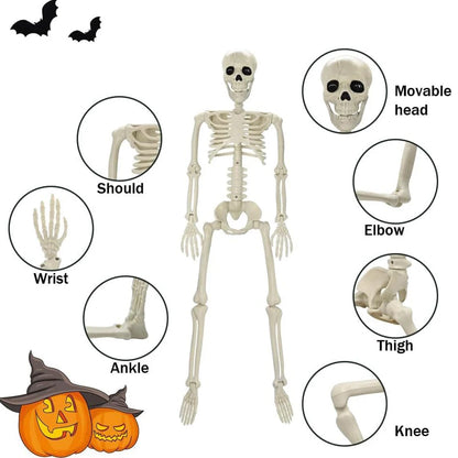 Modelo de Halloween anatomia do esqueleto - Esqueleto Humano Potável Tamanho Real