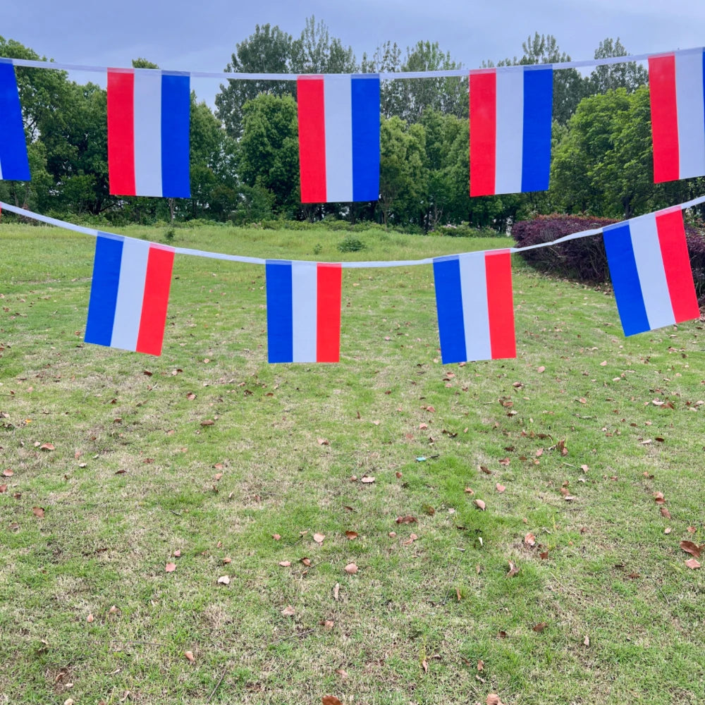 Bandeira holandesa de 6 metros 20 bandeiras 9" x 6" - bandeiras holandesas 14 x 21 cm