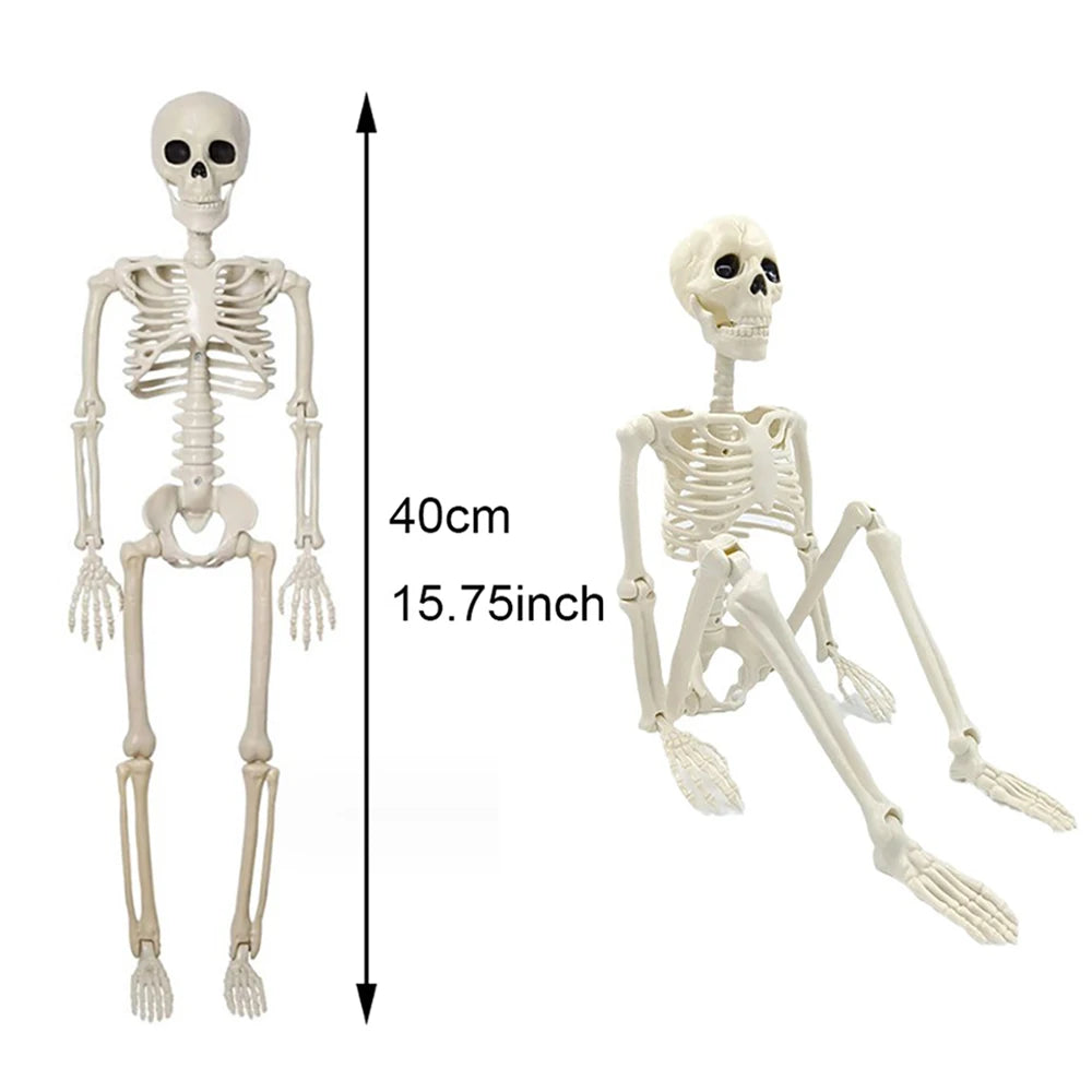 Modelo de Halloween anatomia do esqueleto - Esqueleto Humano Potável Tamanho Real
