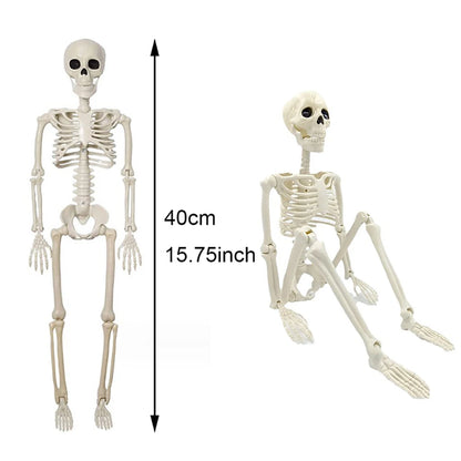 Modelo de Halloween anatomia do esqueleto - Esqueleto Humano Potável Tamanho Real