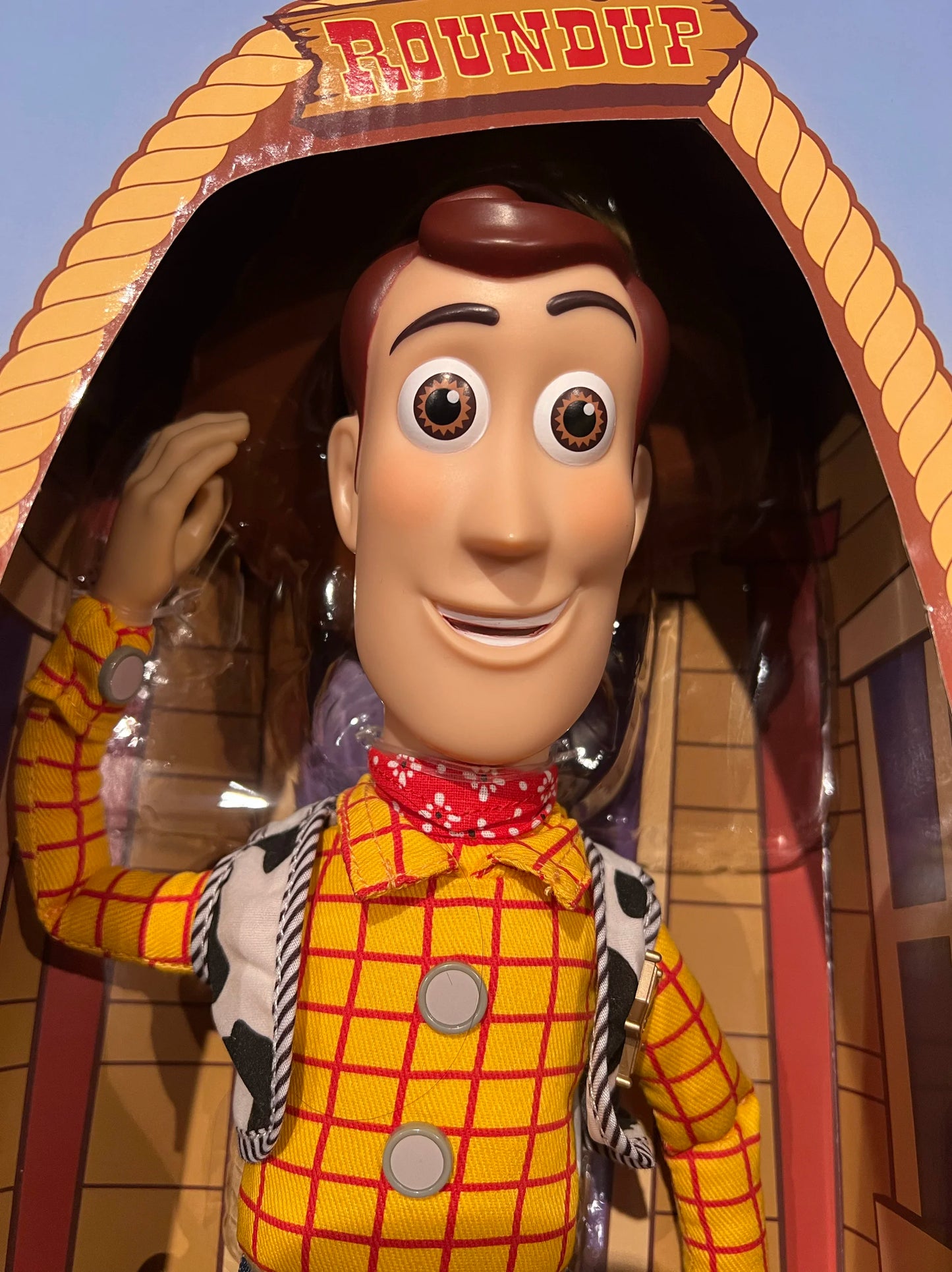 Disney Pixar Toy Story Figura de Ação Personagem Surpresa 9.5" para crianças e adultos
