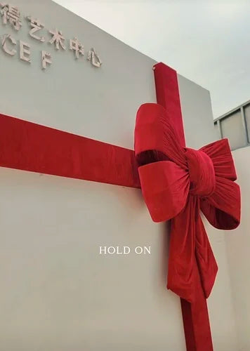 45522878562456|45522879053976