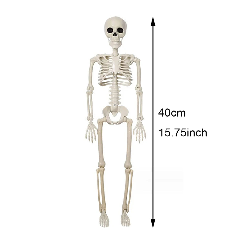 Modelo de Halloween anatomia do esqueleto - Esqueleto Humano Potável Tamanho Real