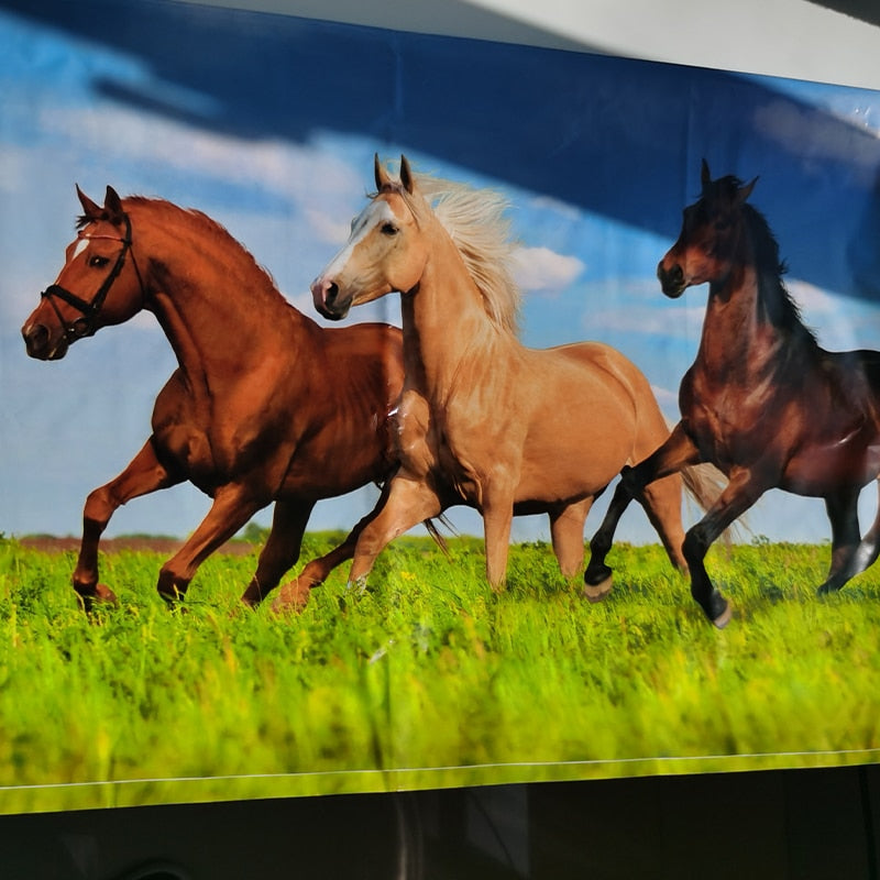 Rodeio de emoções! Descubra nosso Tema Vaqueiro para Festas e mergulhe na tradição